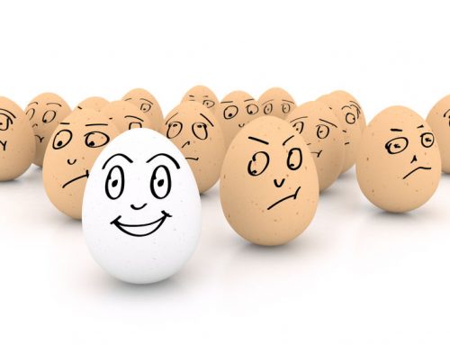 10 Dagelijkse gewoontes van een blij ei